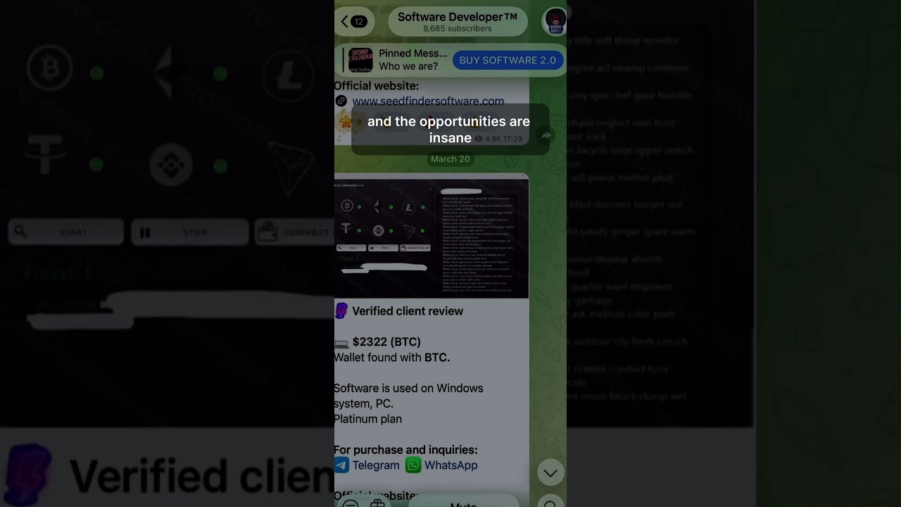 wallets search tool 2026 #shorts #mining