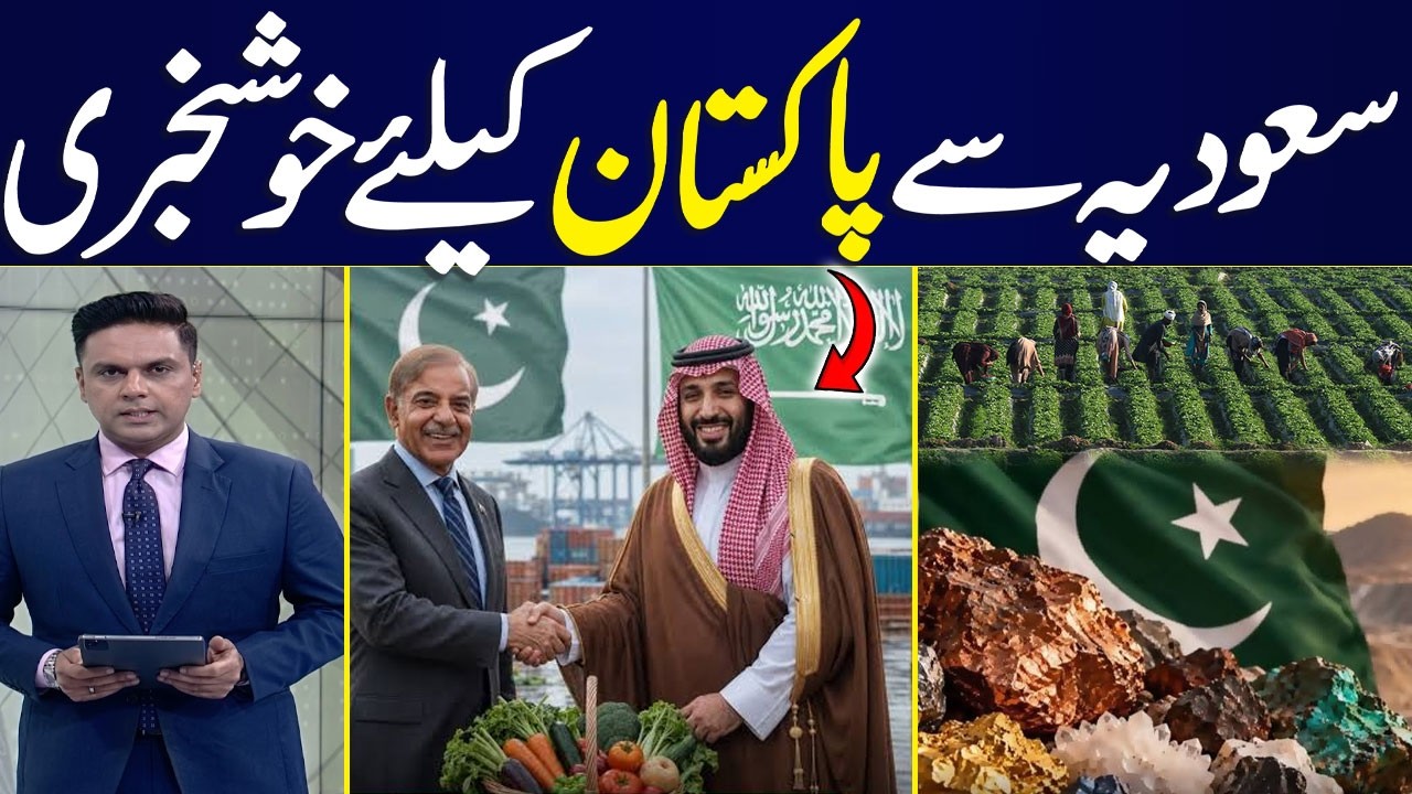 Pakistan, Saudi Arabia discuss agriculture, mining investment and stronger business